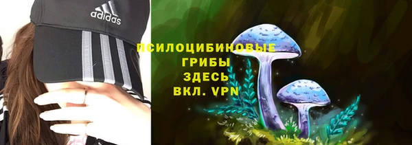альфа пвп Белокуриха