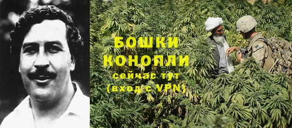 эйфоретик Белоозёрский
